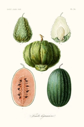 Picture of FRUIT AND VEGETABLE VARIETIES VIII