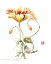 Picture of FOLLOWING