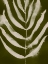 Picture of ORGANIC BLOOM I