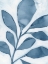 Picture of BLUE WEED II