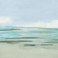 Picture of PALE MARSH COAST II