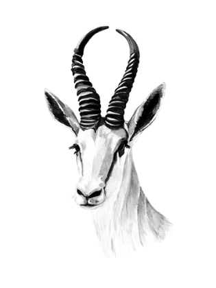 Picture of GAZELLE SKETCH I