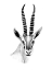Picture of GAZELLE SKETCH II