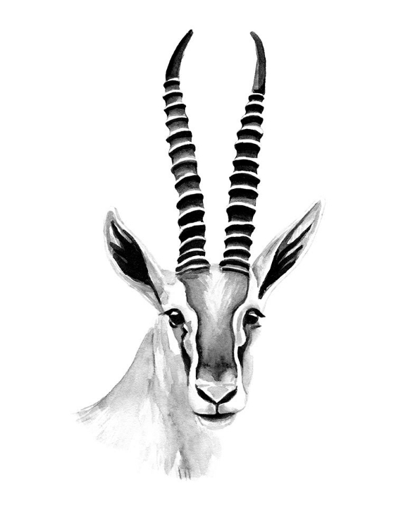 Picture of GAZELLE SKETCH II