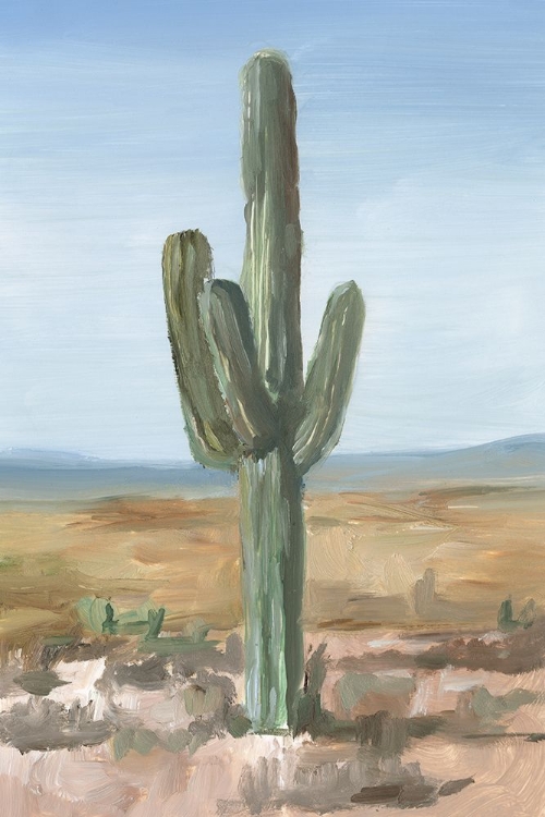 Picture of SAGUARO CACTUS STUDY I