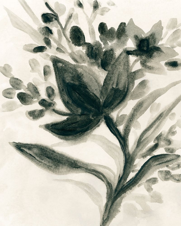 Picture of EBONY BOUQUET II