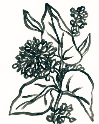 Picture of LINEAR FLORAL II