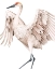 Picture of WHOOPING CRANE II