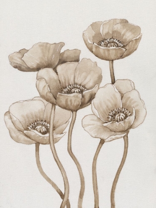 Picture of POPPIES IN SEPIA I