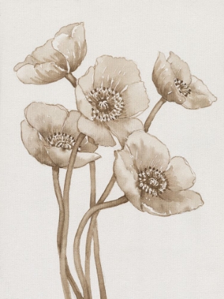 Picture of POPPIES IN SEPIA II
