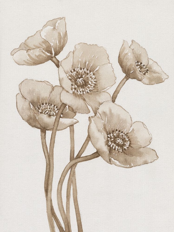 Picture of POPPIES IN SEPIA II