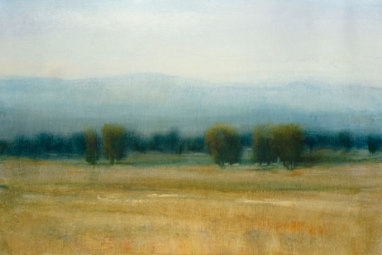 Picture of TRANQUIL MORNING II
