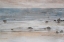 Picture of SHIMMERING SHORE II