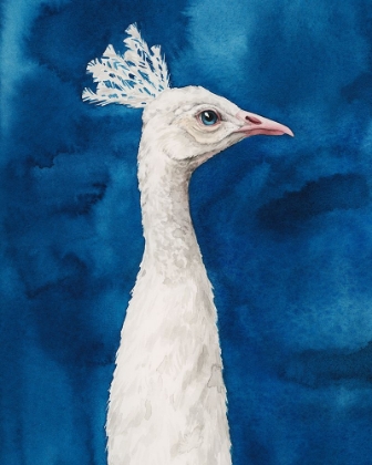 Picture of SNOWY PEACOCK I