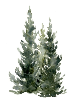 Picture of SIMPLE EVERGREENS I