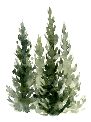 Picture of SIMPLE EVERGREENS II