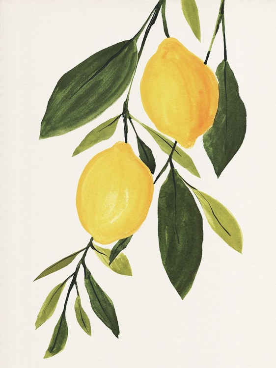 Picture of LEMON BRANCH I