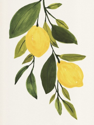 Picture of LEMON BRANCH II