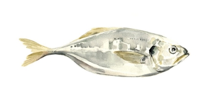 Picture of SILVER FISH III