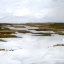 Picture of SNOWY MOOR I