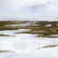 Picture of SNOWY MOOR II