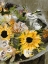 Picture of SUNFLOWER BOUQUET II