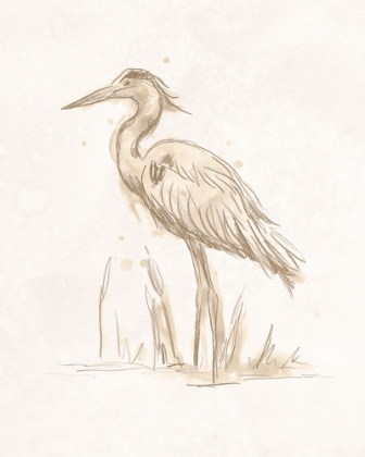 Picture of SEPIA HERON I