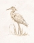 Picture of SEPIA HERON I