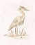 Picture of SEPIA HERON IV