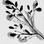 Picture of SPROUTING II