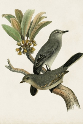 Picture of ANTIQUE BIRD TRIO I