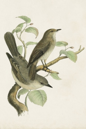 Picture of ANTIQUE BIRD TRIO III