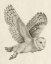 Picture of NIGHT OWL II