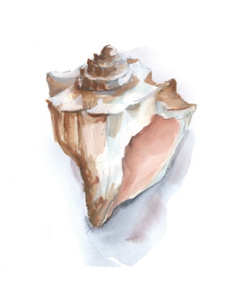Picture of PASTEL SHELL COLLECTION I