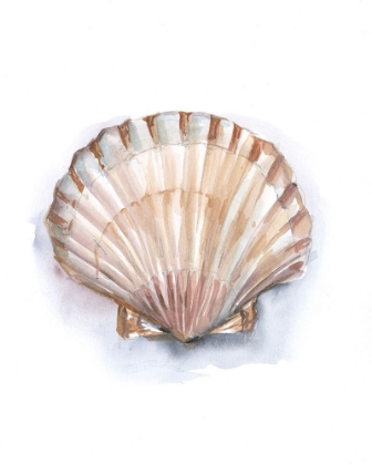 Picture of PASTEL SHELL COLLECTION III