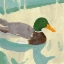 Picture of BATHING MALLARD I