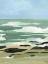Picture of ABSTRACTED COASTLINE I