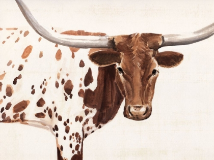 Picture of SPOTTED STEER I