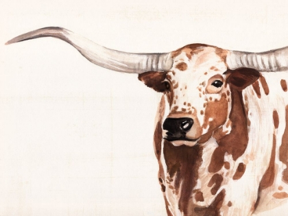 Picture of SPOTTED STEER II