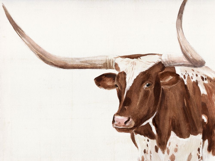 Picture of SPOTTED STEER III