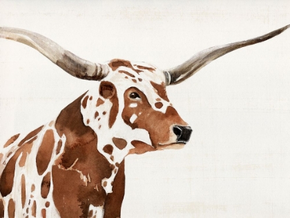 Picture of SPOTTED STEER IV