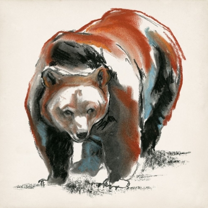 Picture of BROWN BEAR GESTURES II