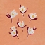 Picture of DITSY BLOOMS I