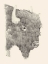 Picture of BUFFALO SKETCH I