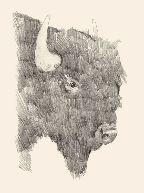 Picture of BUFFALO SKETCH I