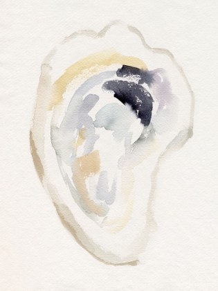 Picture of OYSTER SHELL WATERCOLOR I