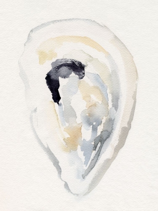Picture of OYSTER SHELL WATERCOLOR II