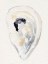 Picture of OYSTER SHELL WATERCOLOR II