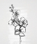 Picture of FLOURISH SKETCHES I