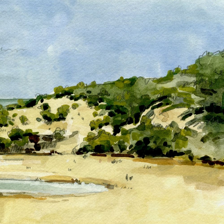 Picture of COASTAL SKETCH VI